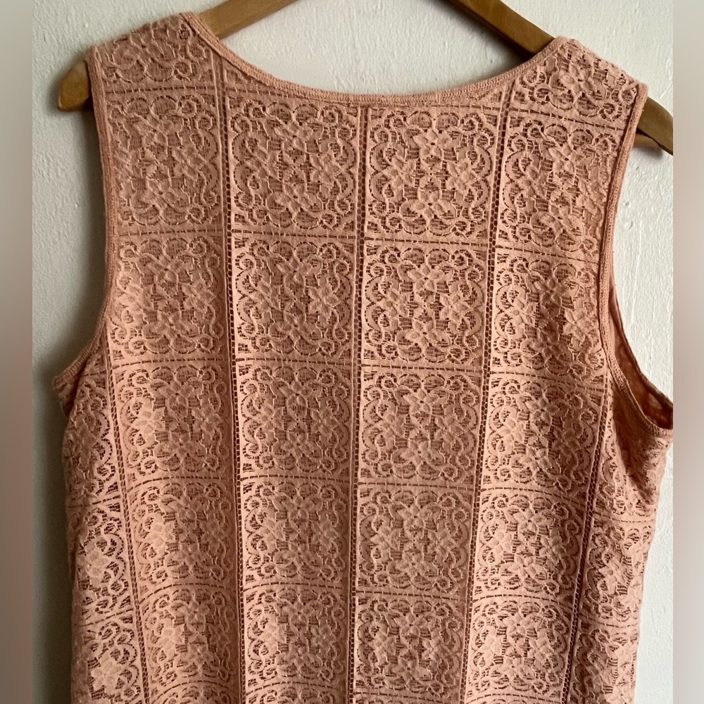 MAX STUDIO Blush Lace Sleeveless Dress - Picture 4 of 9